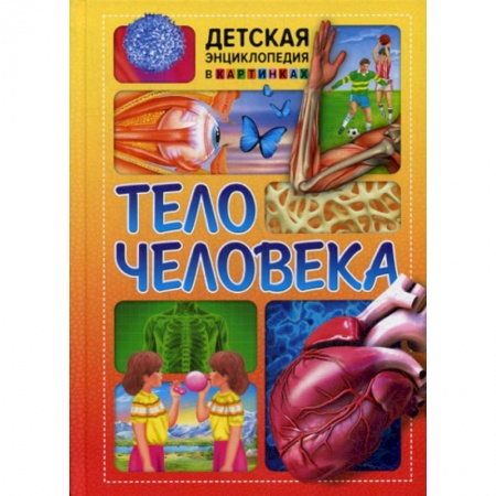 Познавательная литература, книга Тело человека заказать