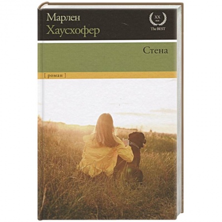 Зарубежная классика, книга Стена заказать