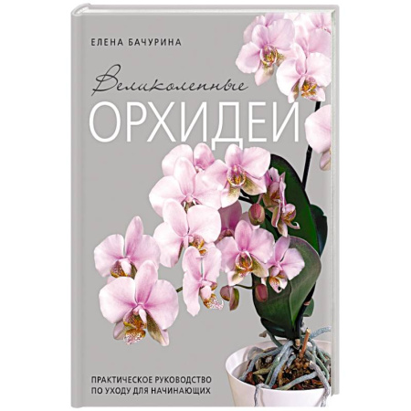 Сад, огород, цветы, дизайн участка, книга Великолепные орхидеи. Практичное руководство по уходу для начинающих заказать