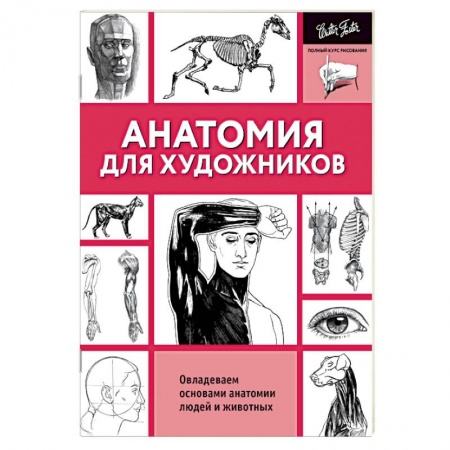 Основы рисования и живописи, книга Анатомия для художников заказать