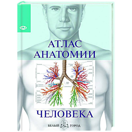 Анатомия и физиология человека, книга Атлас анатомии человека заказать