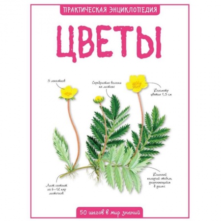Животный и растительный мир, книга Цветы. Практическая энциклопедия заказать