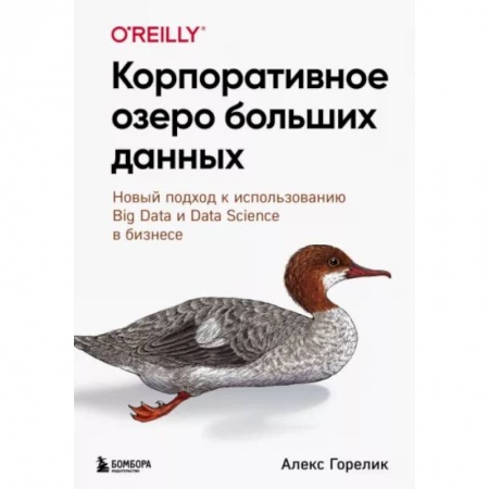 Другие СУБД, книга Корпоративное озеро больших данных. Новый подход к использованию Big Data и Data Science в бизнесе заказать