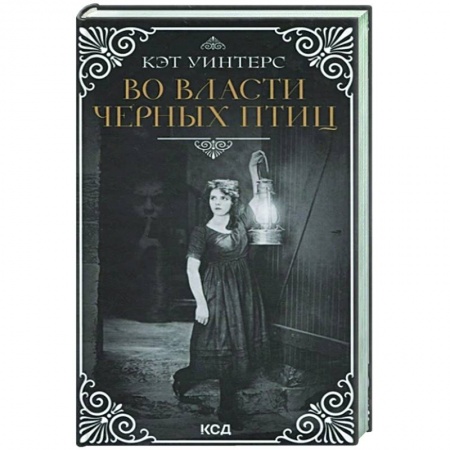 Мистика, ужасы, книга Во власти черных птиц заказать